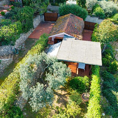 Il Cottage Di Villa Sveva, Splendida Vista Mare Porto Santo Stefano  Eksteriør bilde